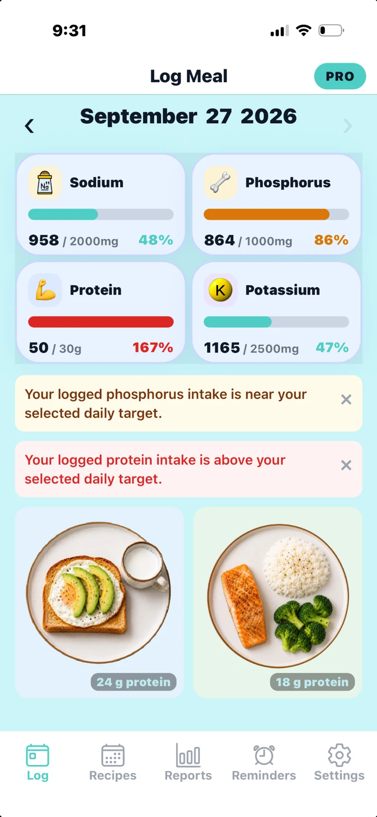 Current Kidney Buddy daily nutrient tracking interface